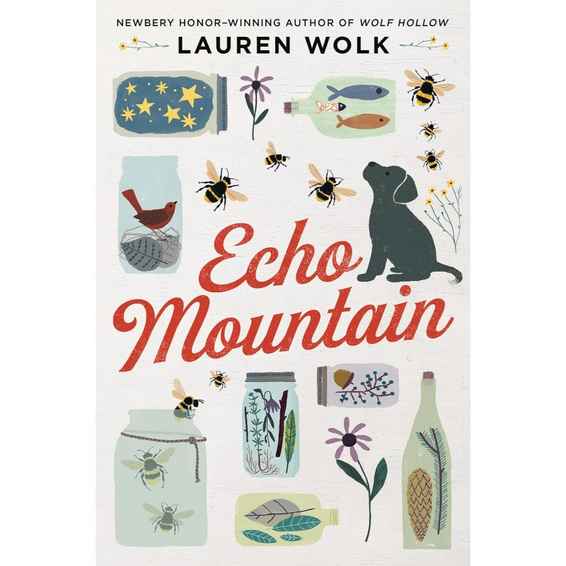 Echo Mountain, by Lauren Wolk
