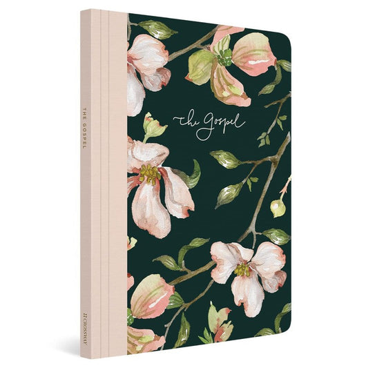 ESV Prayer Journal: 30 Days on the Gospel, by ESV Bibles, Erika Allen