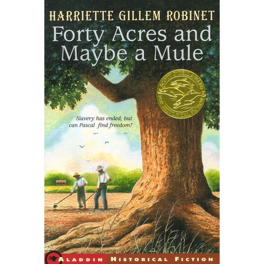 Forty Acres and Maybe a Mule, by Harriette Gillem Robinet