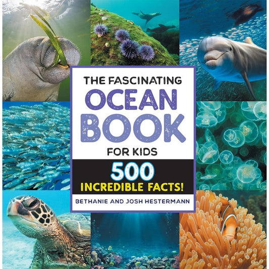 The Fascinating Ocean Book for Kids: 500 Incredible Facts! (Fascinating Facts), by Bethanie & Josh Hestermann